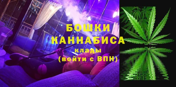 прущая мука Нея