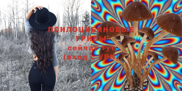 jwh Нефтекумск