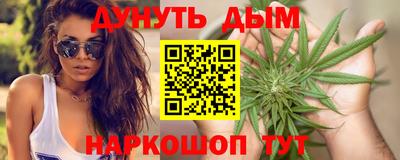 СК Гатчина