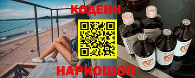 СК Гатчина