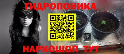 СК Гатчина