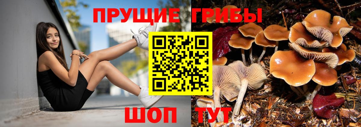 Псилоцибиновые грибы GOLDEN TEACHER Анжеро-Судженск