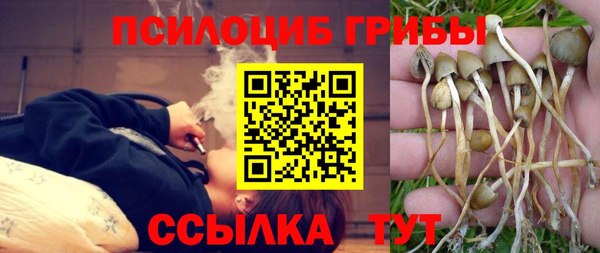 Галлюциногенные грибы мицелий  Вход с VPN  Анжеро-Судженск 