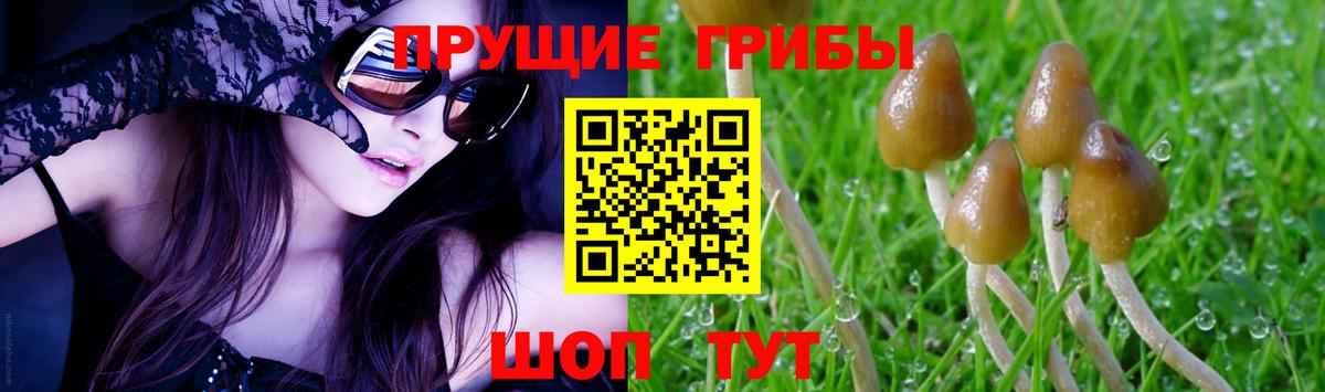 Псилоцибиновые грибы Magic Shrooms Анжеро-Судженск